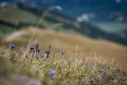 Dolomiten-40