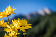 Dolomiten-21