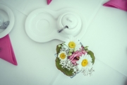 Hochzeit in Karow-21
