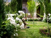 Isfahan-39