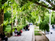 Isfahan-47