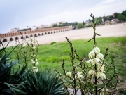 Isfahan-54