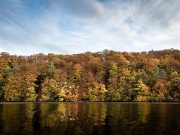 Schmaler-Luzin-23