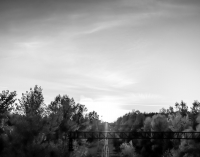 Chernobyl-10