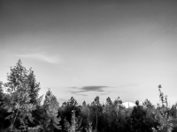 Chernobyl-8