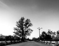 Chernobyl-9
