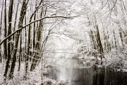 Winter in Groß Plasten-10