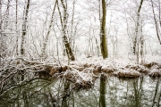 Winter in Groß Plasten-9