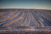 Winter-2