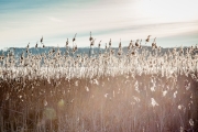 Winter-3