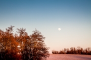 Winter-6